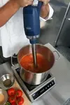 Globe GIB750-14, Immersion Blender, Variable, 1 HP